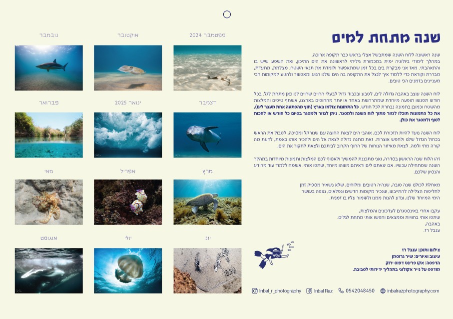 Calendar_SeaLife_back