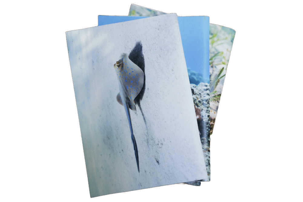 מחברת שורות - מחבטן הספירים