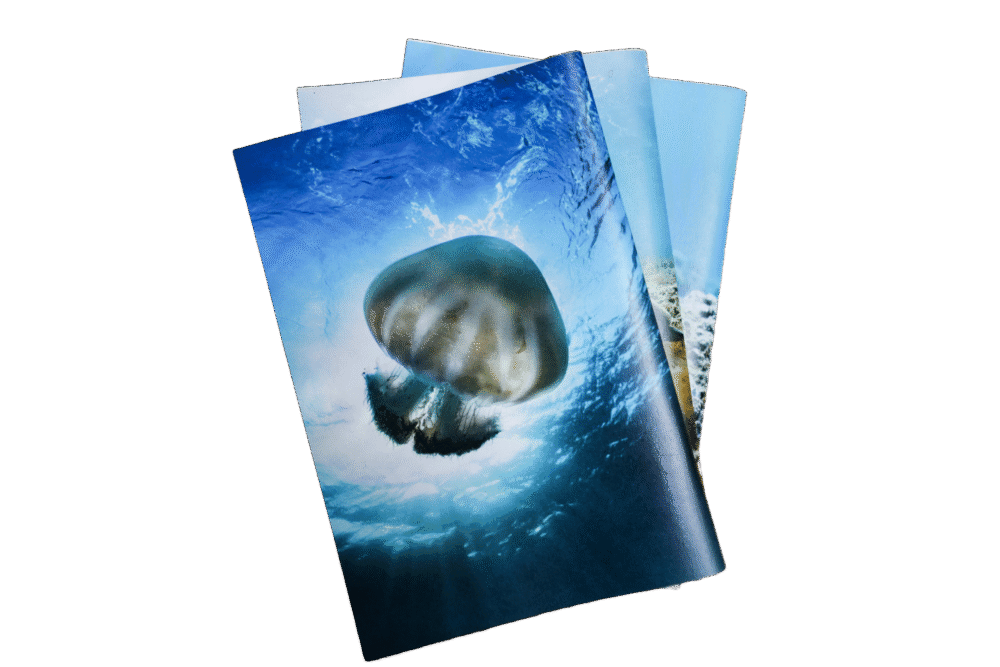 מחברת שורות - חוטית נודדת