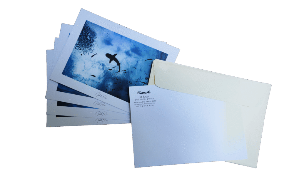 חבילת ברכות ומעטפות - מתחת למים