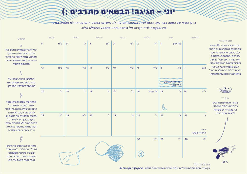 ⁦חבילה לאהבי ים וכרישים בישראל⁩ – תמונה ⁦7⁩