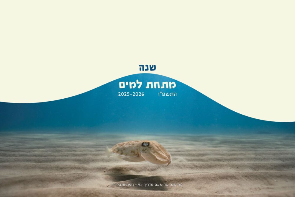 לוח שנה - שנה מתחת למים 2025-2026