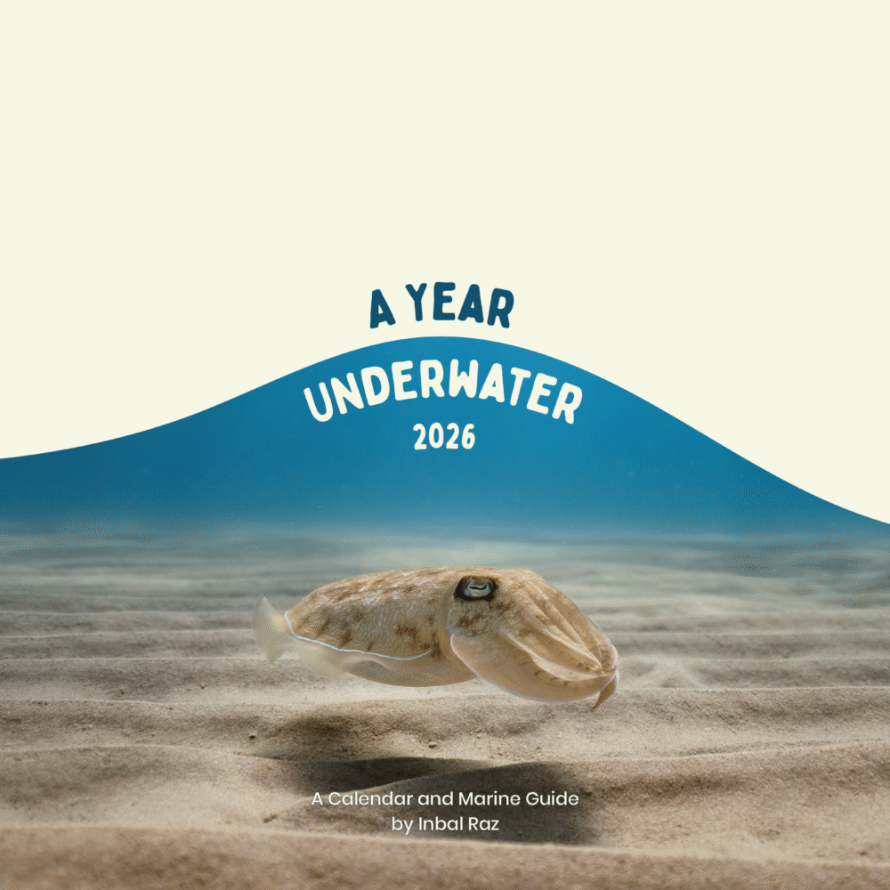 A Year Underwater - 2026 Calendar