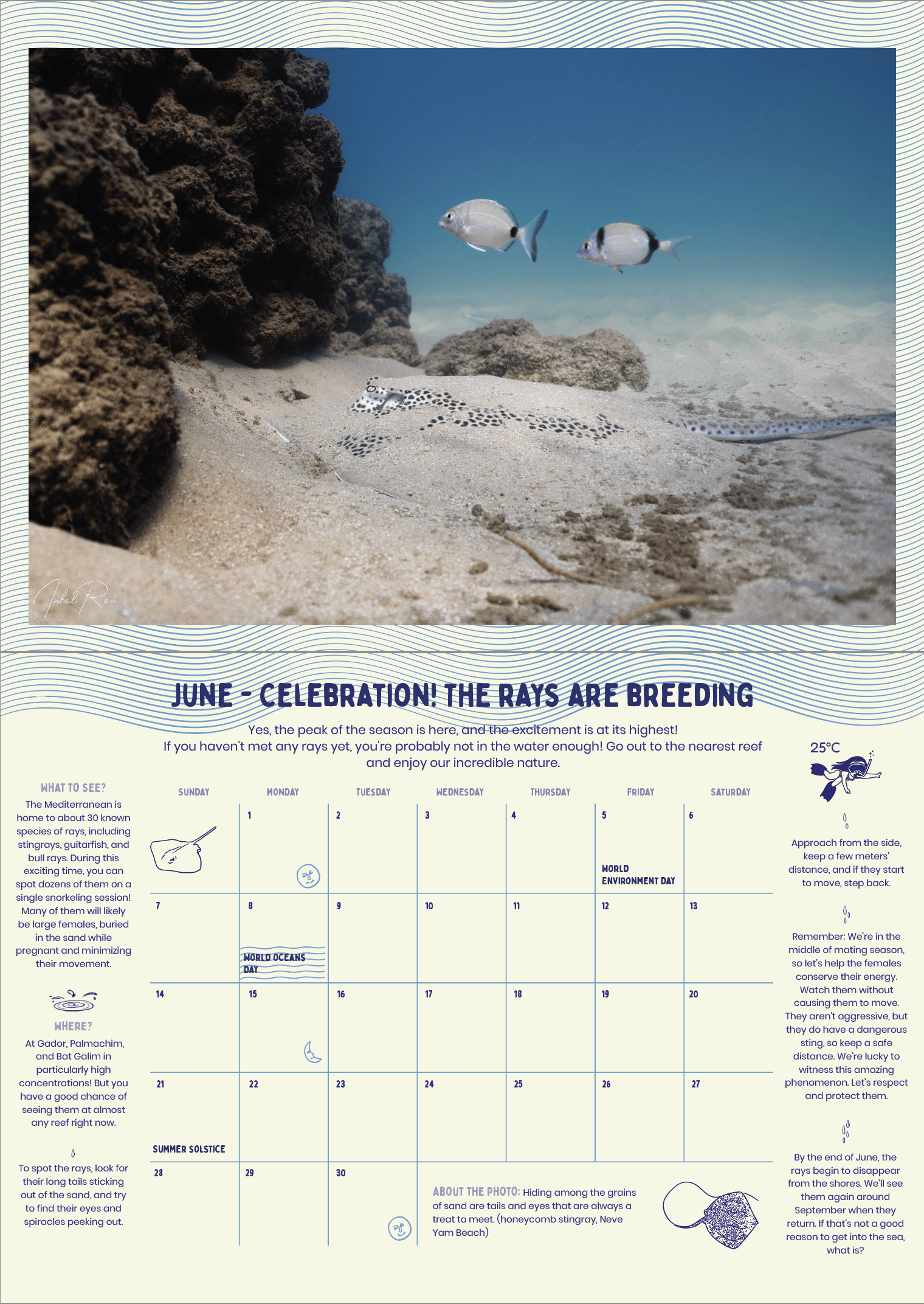 A Year Underwater - 2026 Calendar – תמונה 4