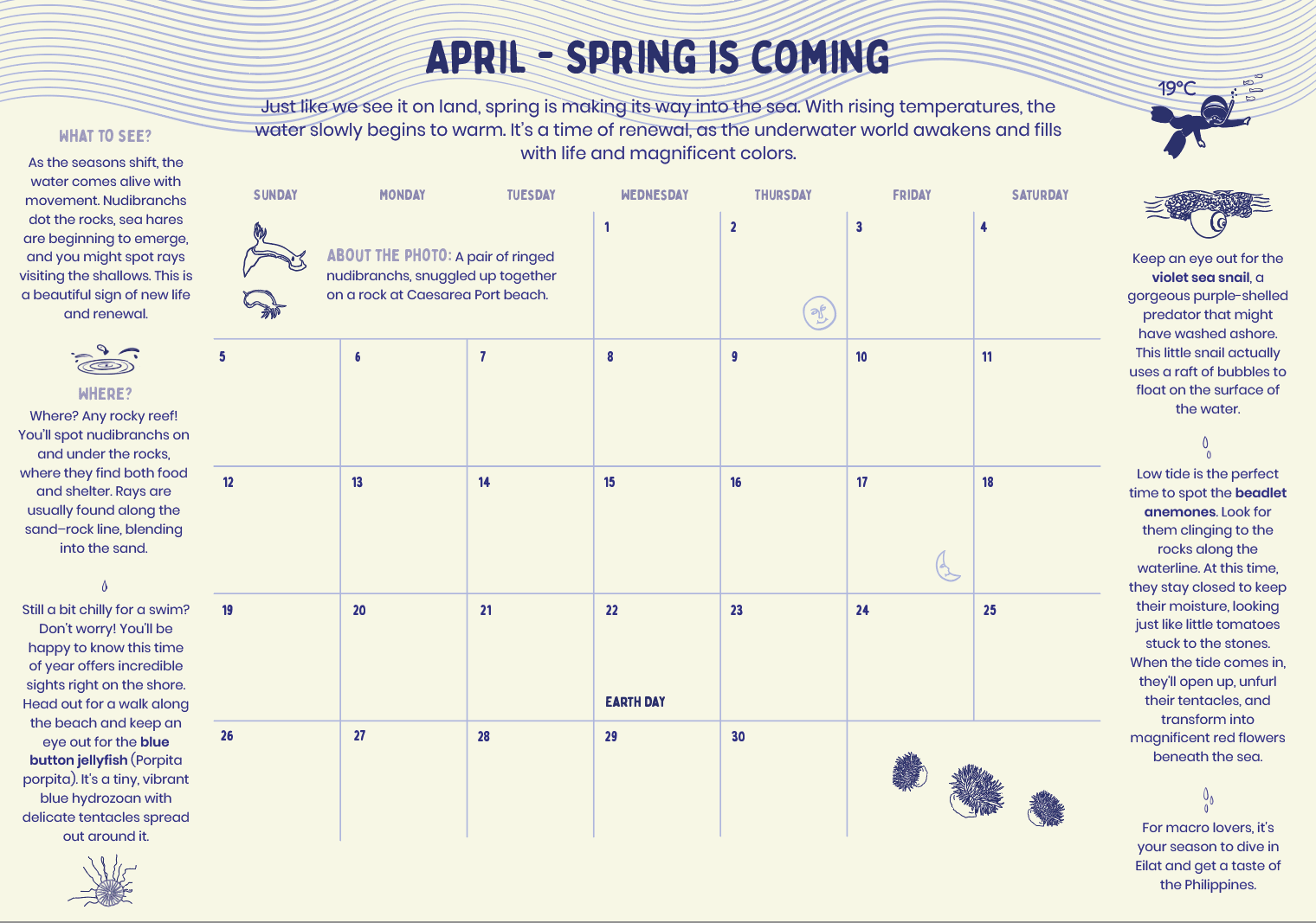 A Year Underwater - 2026 Calendar – תמונה 3