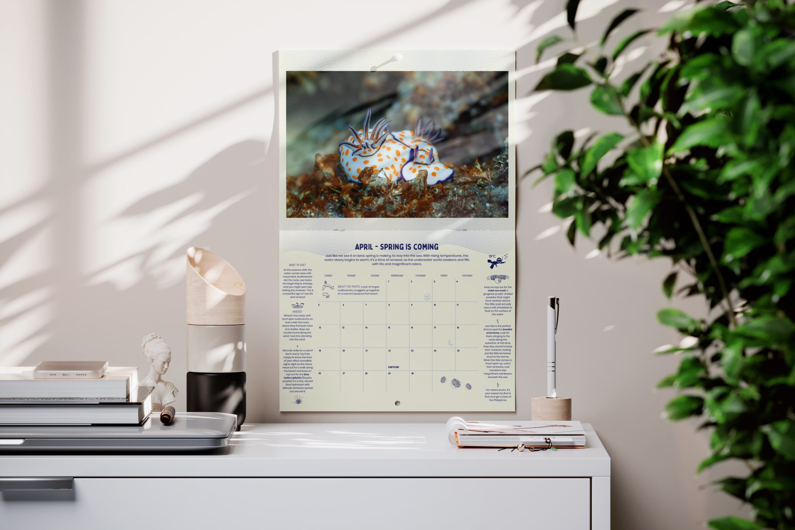 A Year Underwater - 2026 Calendar – תמונה 2