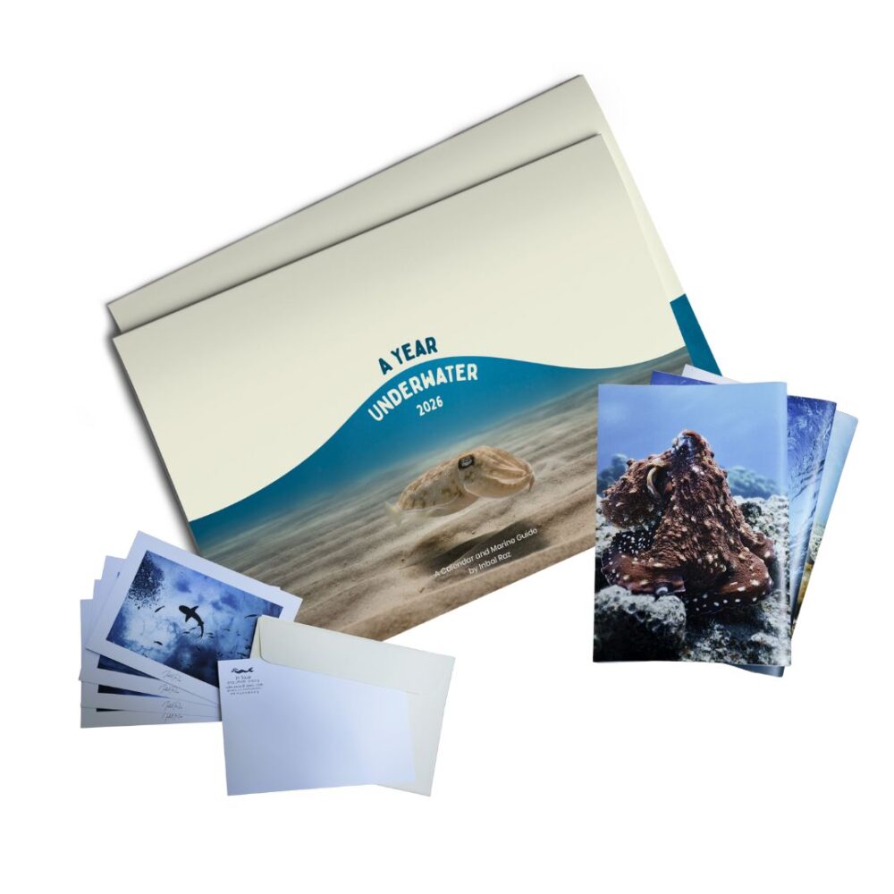 A Special Sea Lover's Package - 2026