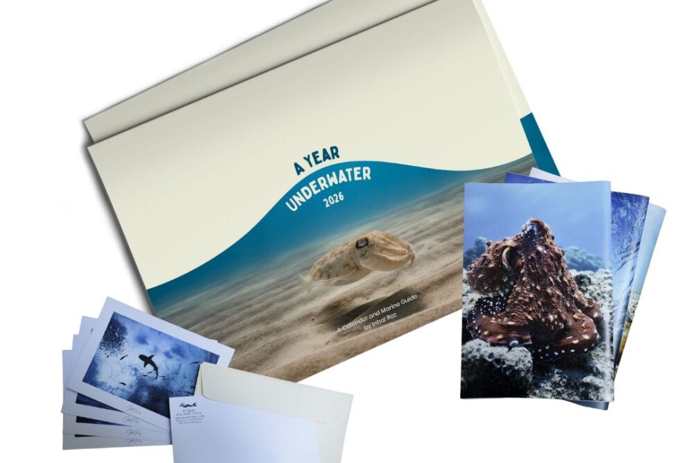 A Special Sea Lover's Package - 2026