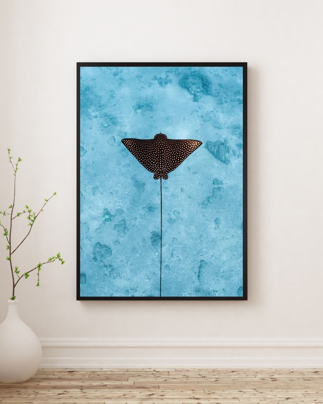 איגל ריי (לאורך) – תמונה 6