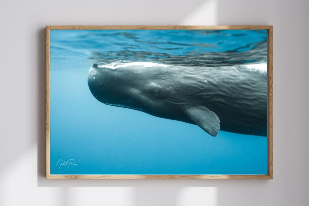 עין בעין עם ראשתן