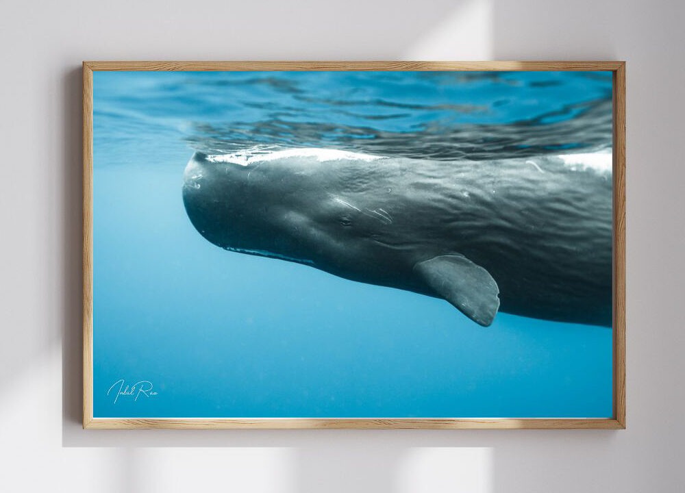 עין בעין עם ראשתן