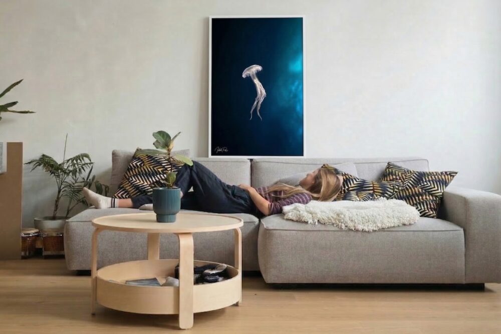 מדוזה במי האוקיאנוס של מוזמביק