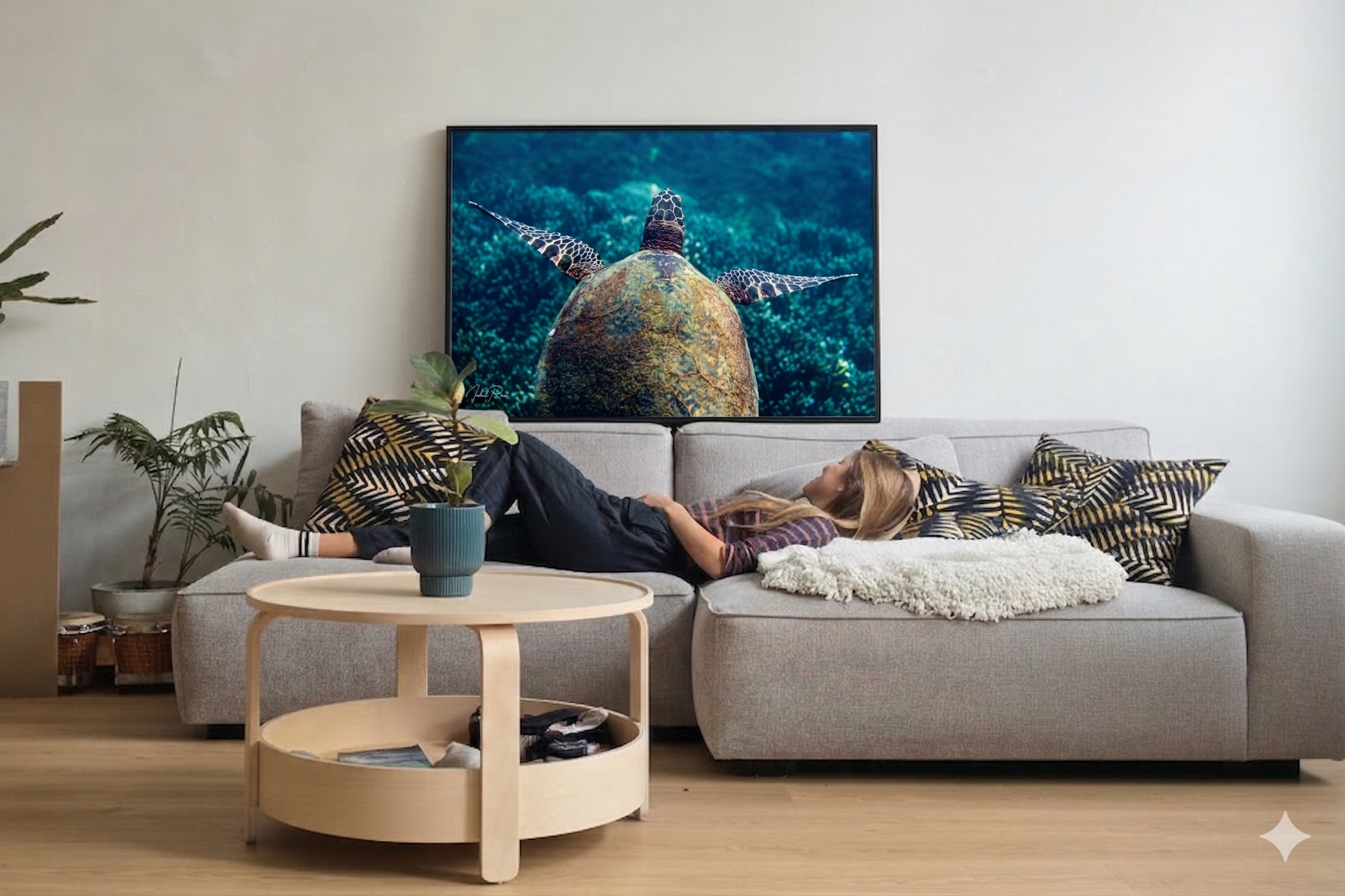 צב ים מרחף – תמונה 2