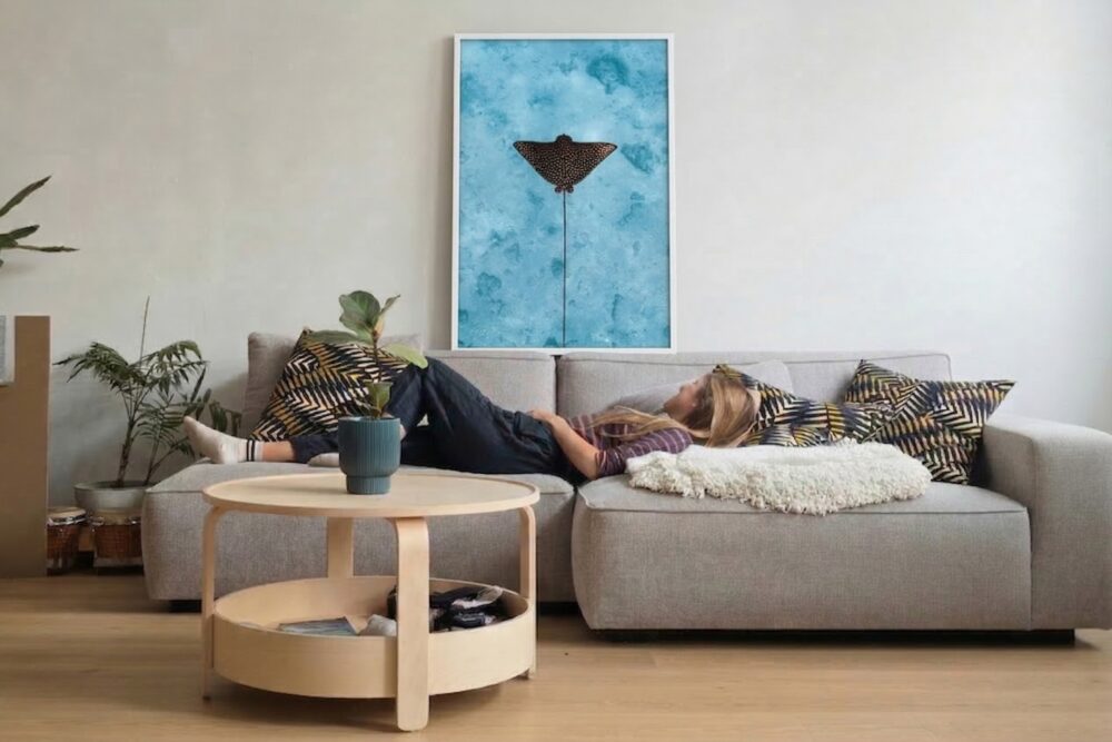 איגל ריי (לאורך)