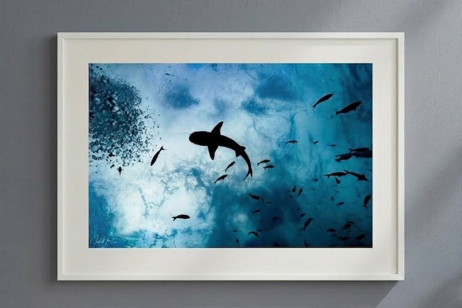 כריש מזווית אחרת – תמונה 2