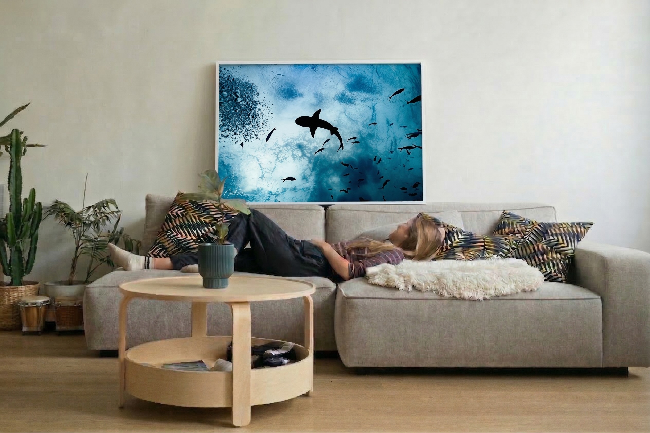 כריש מזווית אחרת – תמונה 4