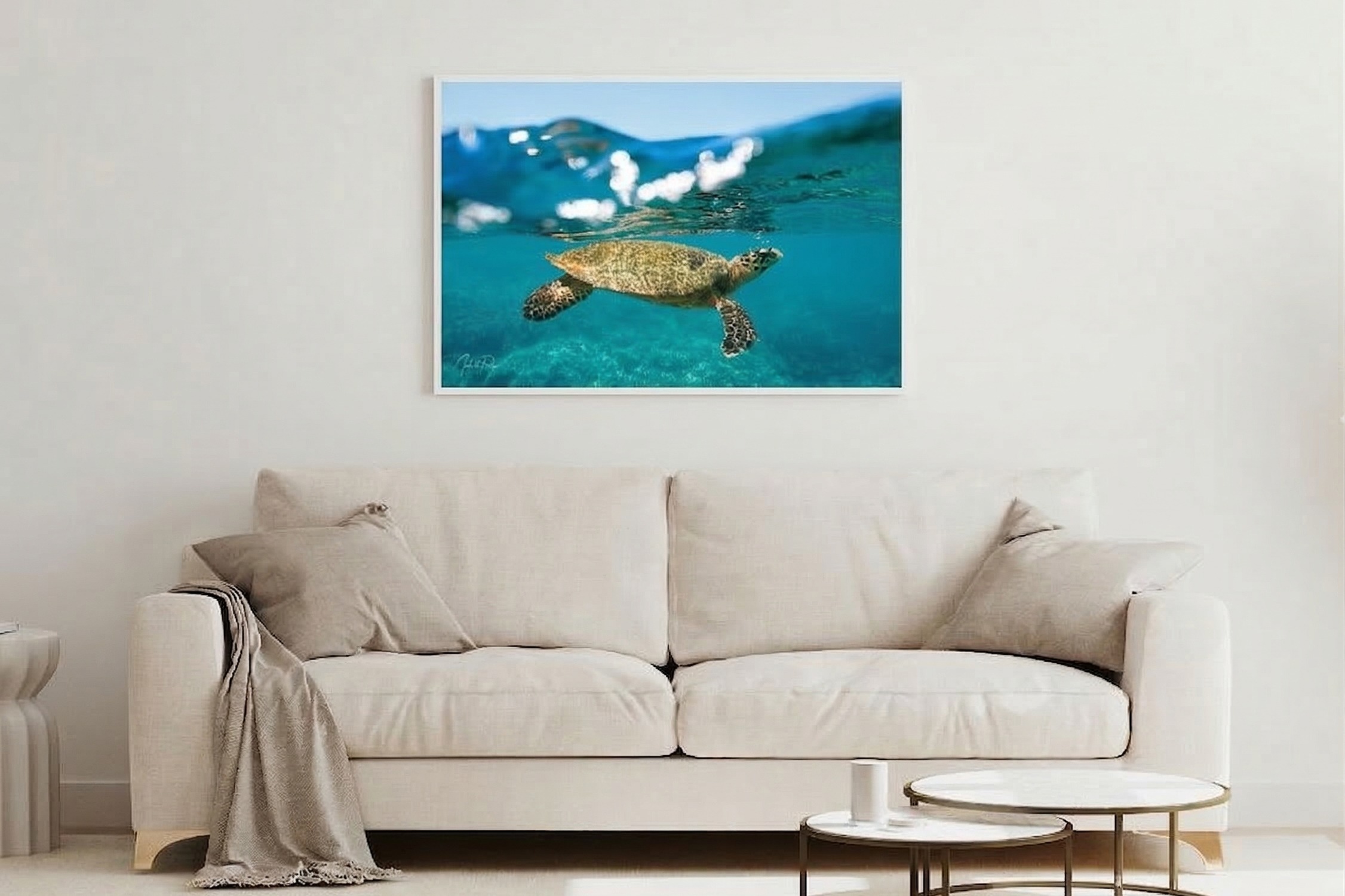 צב בפני המים – תמונה 2