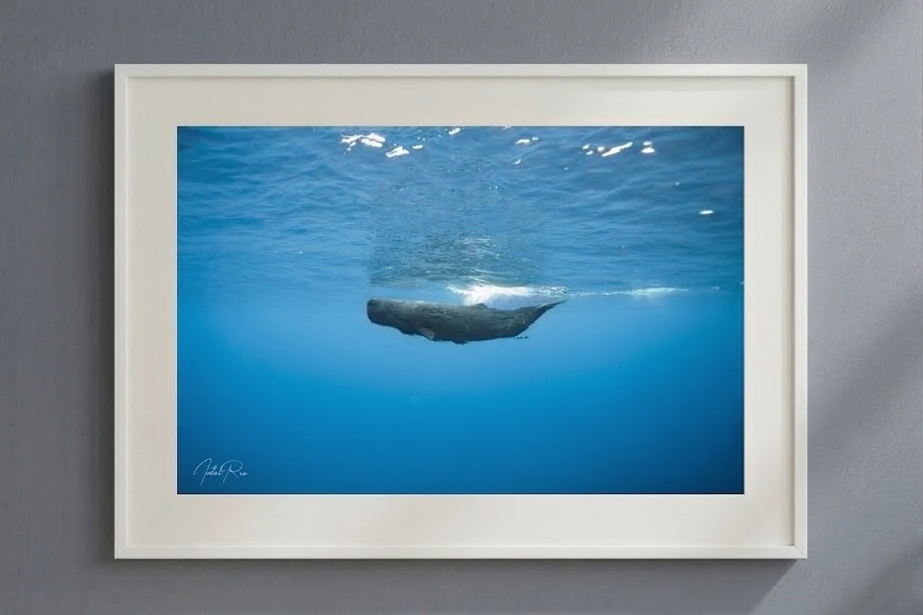 ראשתן בכחול – תמונה 4