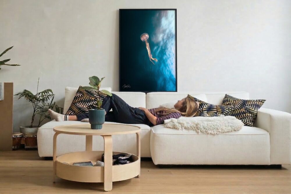 אלגנטיות של מדוזה