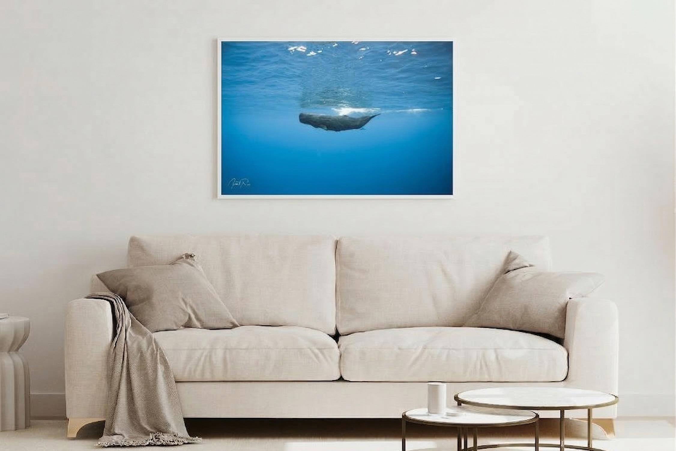 ראשתן בכחול – תמונה 5