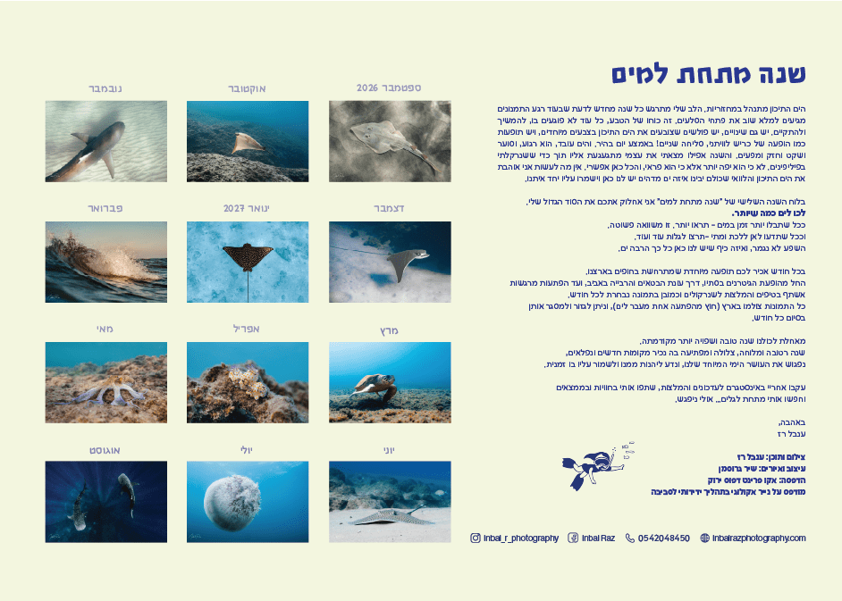 לוח שנה - שנה מתחת למים 2026-2027 – תמונה 3