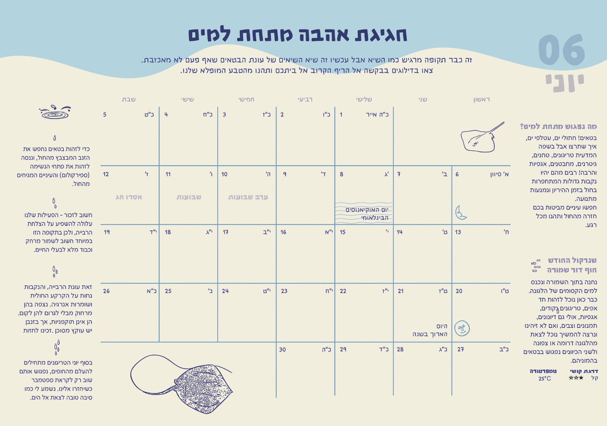 לוח שנה - שנה מתחת למים 2026-2027 – תמונה 5