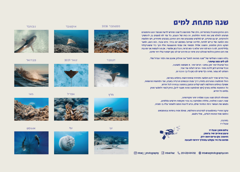 Artboard 6 copy 18