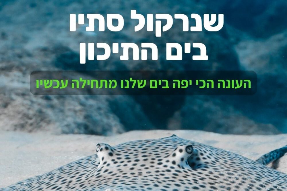 שנרקול סתיו בים התיכון