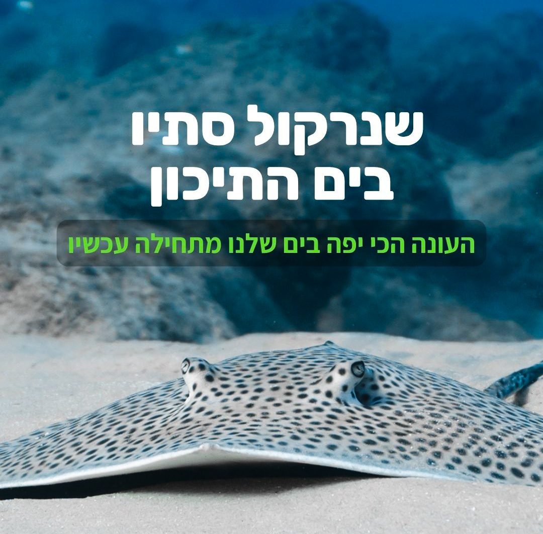 שנרקול סתיו בים התיכון